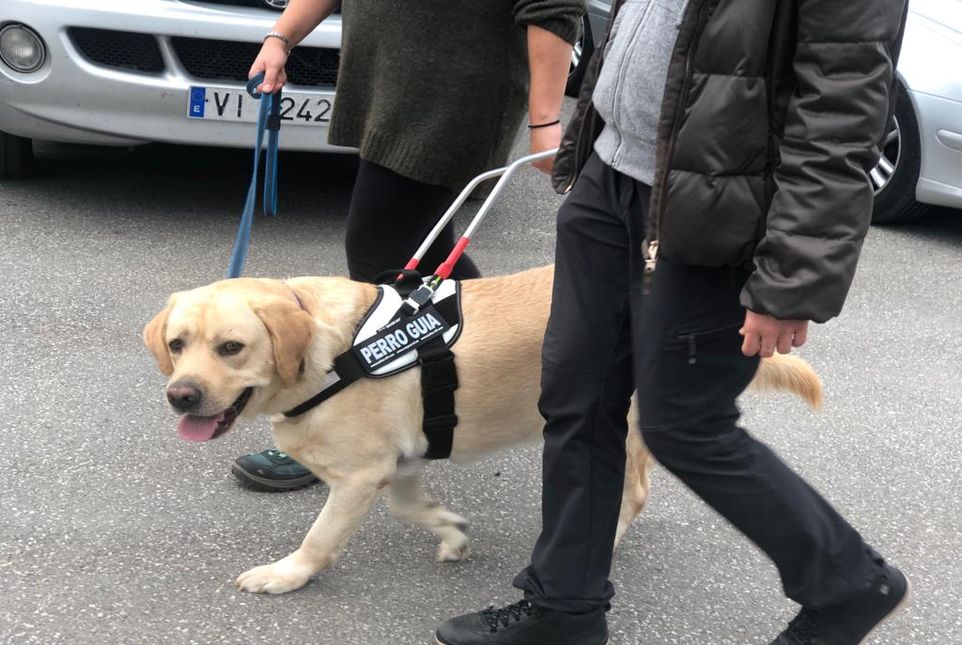 (SSCI0112) INSTRUCCIÓN DE PERROS DE ASISTENCIA